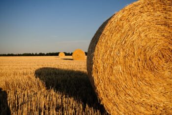 straw straw